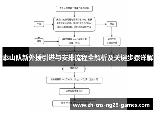泰山队新外援引进与安排流程全解析及关键步骤详解
