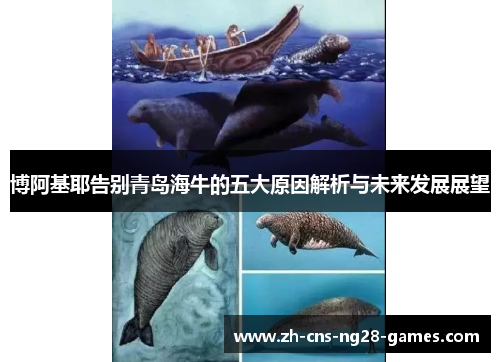 博阿基耶告别青岛海牛的五大原因解析与未来发展展望