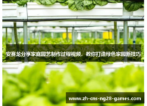 安赛龙分享家庭园艺制作过程视频，教你打造绿色家园新技巧